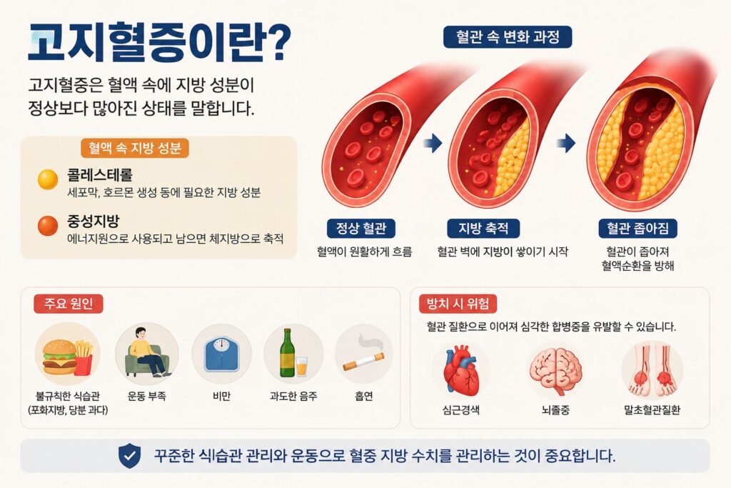 고지혈증이란?