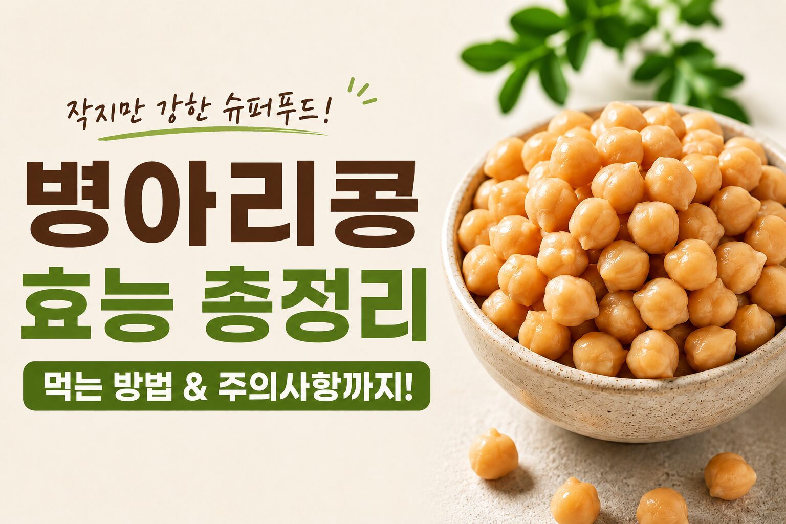 병아리콩 효능