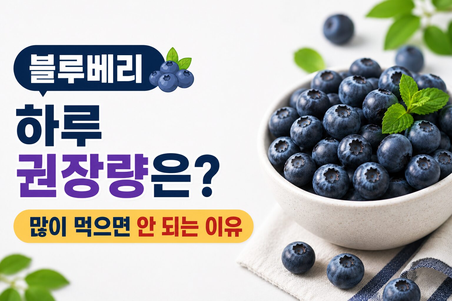 블루베리 하루 권장량