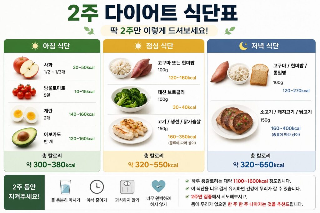 2주 다이어트 식단