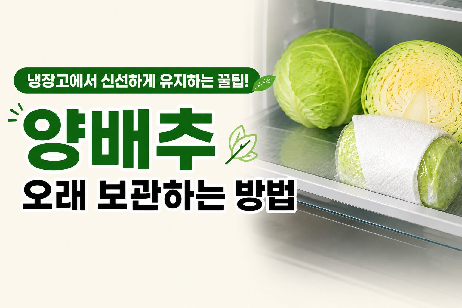 양배추 오래 보관하는 방법