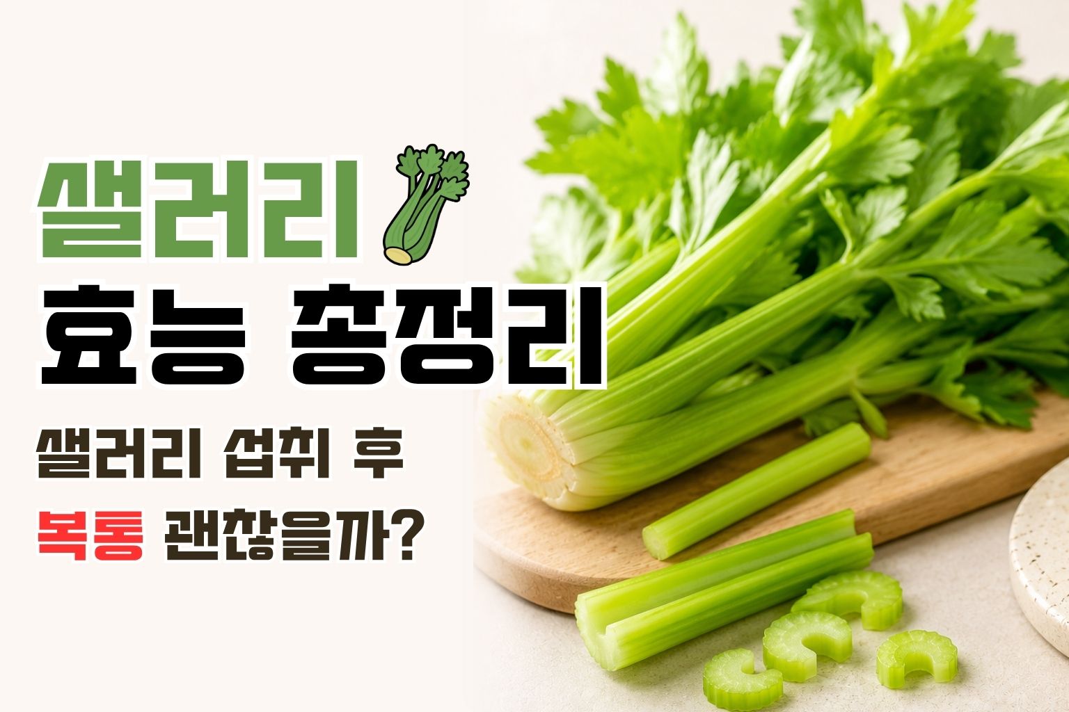 샐러리 효능 총정리!